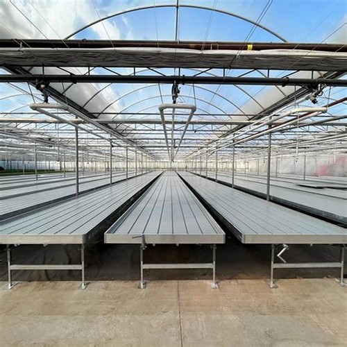 G AND N FORTUNE LIMITED's ebb and flow tray with lid: protected hydroponic seedling tray.