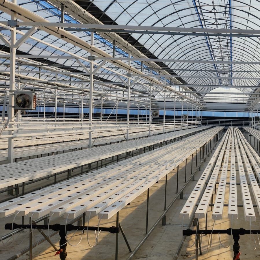 Best hydroponic systems by G AND N FORTUNE LIMITED.