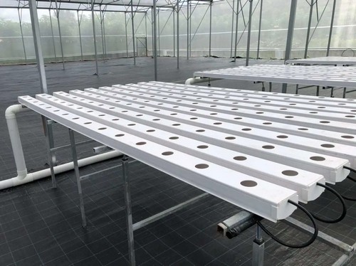 G&N’s electroponics growing system powers hydro growth.