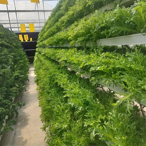 10.Plant hydroponic system from G AND N FORTUNE LIMITED