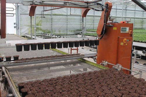 G AND N FORTUNE LIMITED's lawn seed machine for hydroponics.