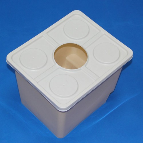 G AND N FORTUNE LIMITED's galvanized bucket planter for hydroponics.