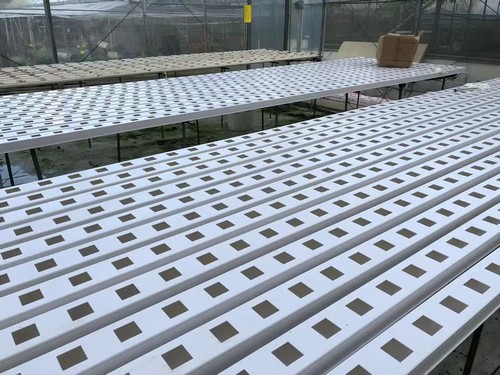 G AND N FORTUNE LIMITED’s grow system provides reliable support for hydroponic setups.