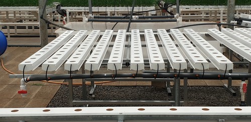 G AND N FORTUNE LIMITED's LED grow light for hydroponics.