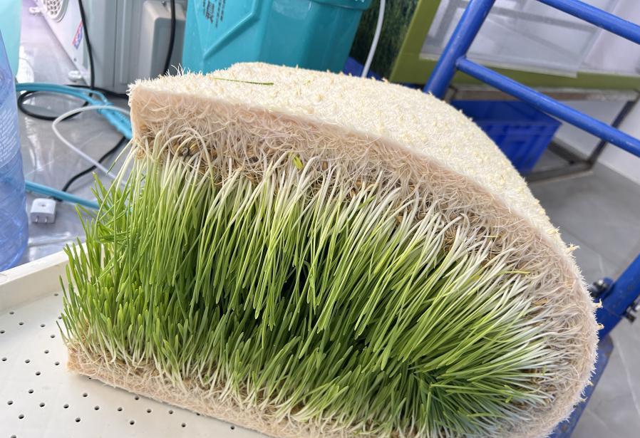 G AND N FORTUNE LIMITED's Hydroponic Farming Equipment