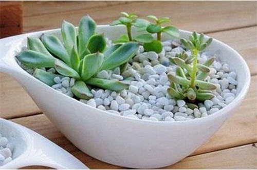 G AND N FORTUNE LIMITED offers hydroponics equipment for perlite powder.