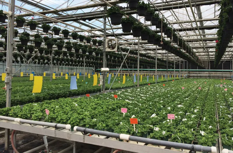 Hydroponic system for sale by G AND N FORTUNE LIMITED.