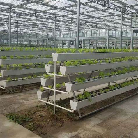 Their hydroponic pot growing system by G AND N FORTUNE LIMITED is useful.