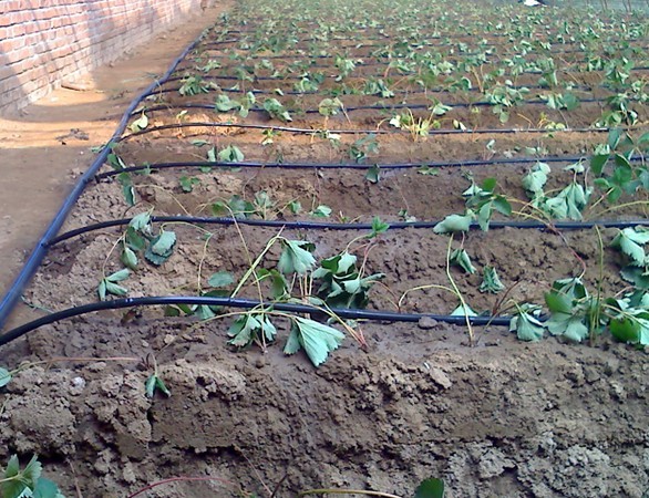 Galvanized aluminum irrigation pipe by G AND N FORTUNE LIMITED, ideal for hydroponics.