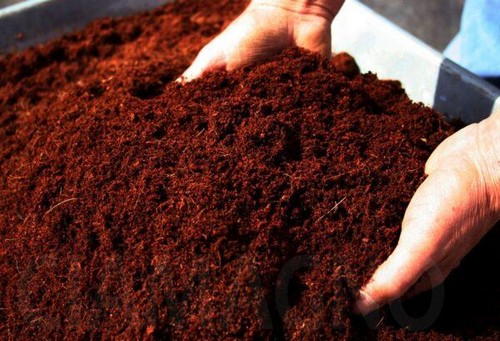 G AND N FORTUNE LIMITED's cocopeat online for hydroponics.