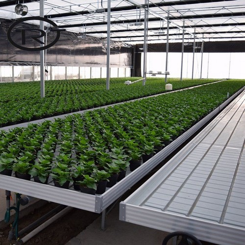 G AND N FORTUNE LIMITED's best quality ebb and flow tray: premium hydroponic equipment.