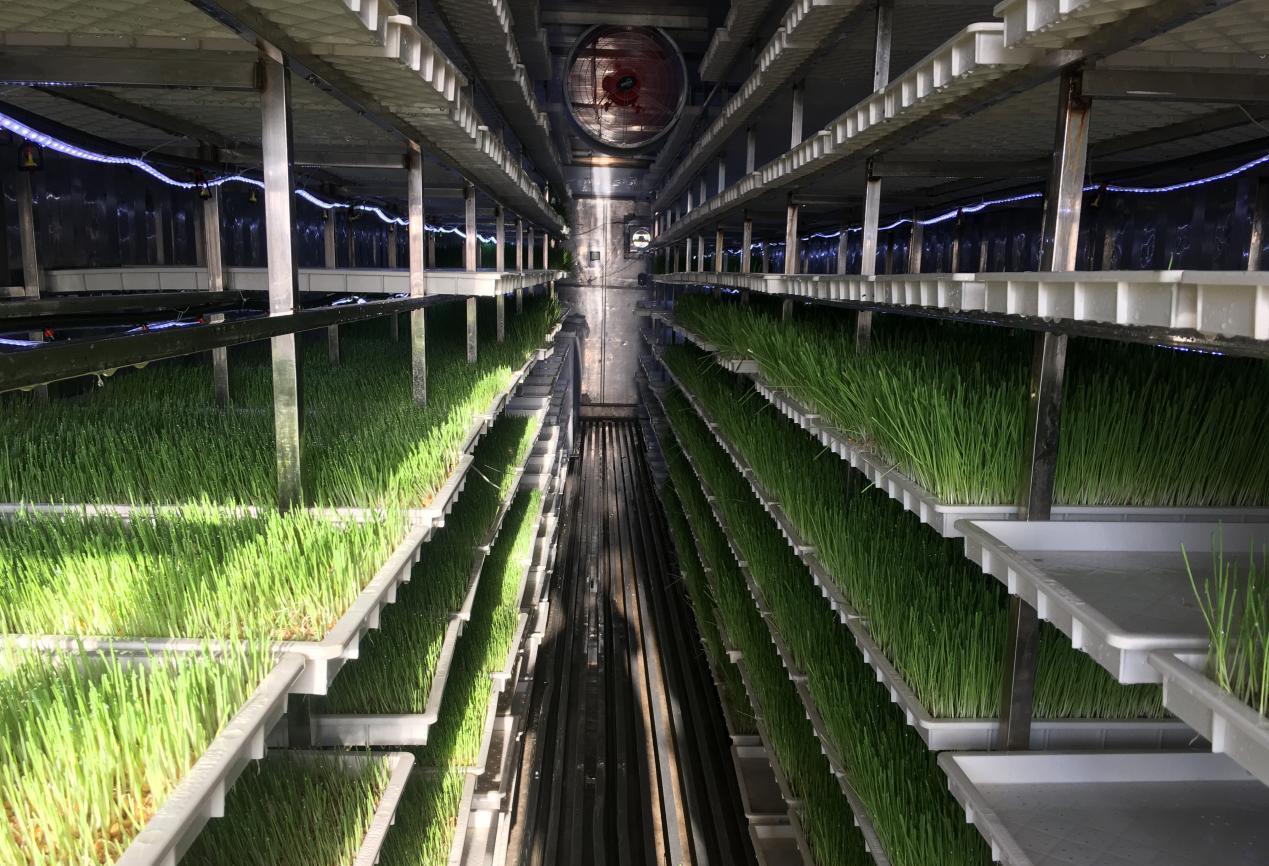 G AND N FORTUNE LIMITED's Hydroponics Equipment near Me