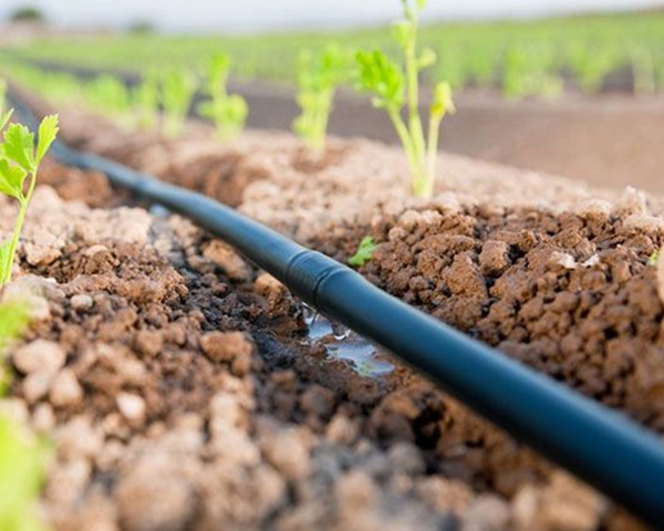 Irrigation with pvc pipe from G AND N FORTUNE LIMITED, for hydroponic use.