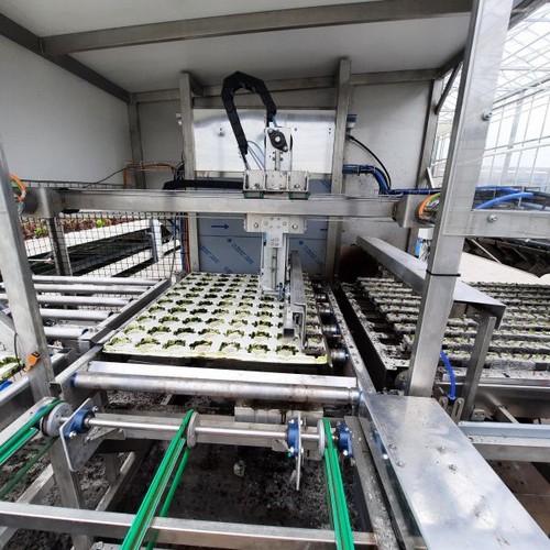 G AND N FORTUNE LIMITED's shellout machine seed for hydroponics.
