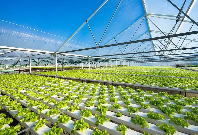 Hydroponic watering system by G AND N FORTUNE LIMITED.