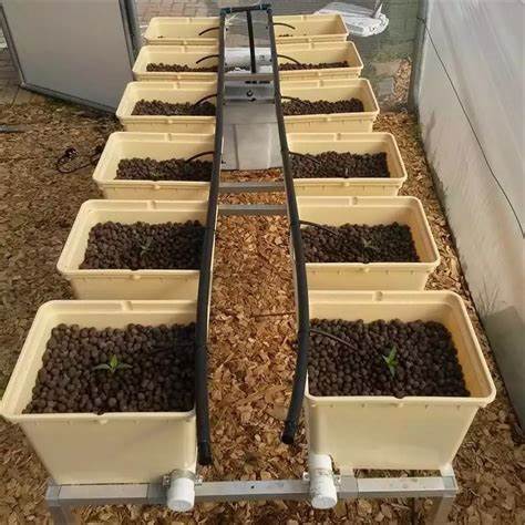 12.G AND N FORTUNE LIMITED's commercial greenhouse suits large-scale hydroponics.
