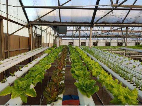 G AND N FORTUNE LIMITED prefab for hydroponic setups.