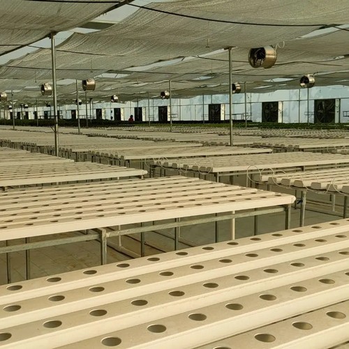 G AND N FORTUNE LIMITED’s system grow: hydroponic quality redefined.
