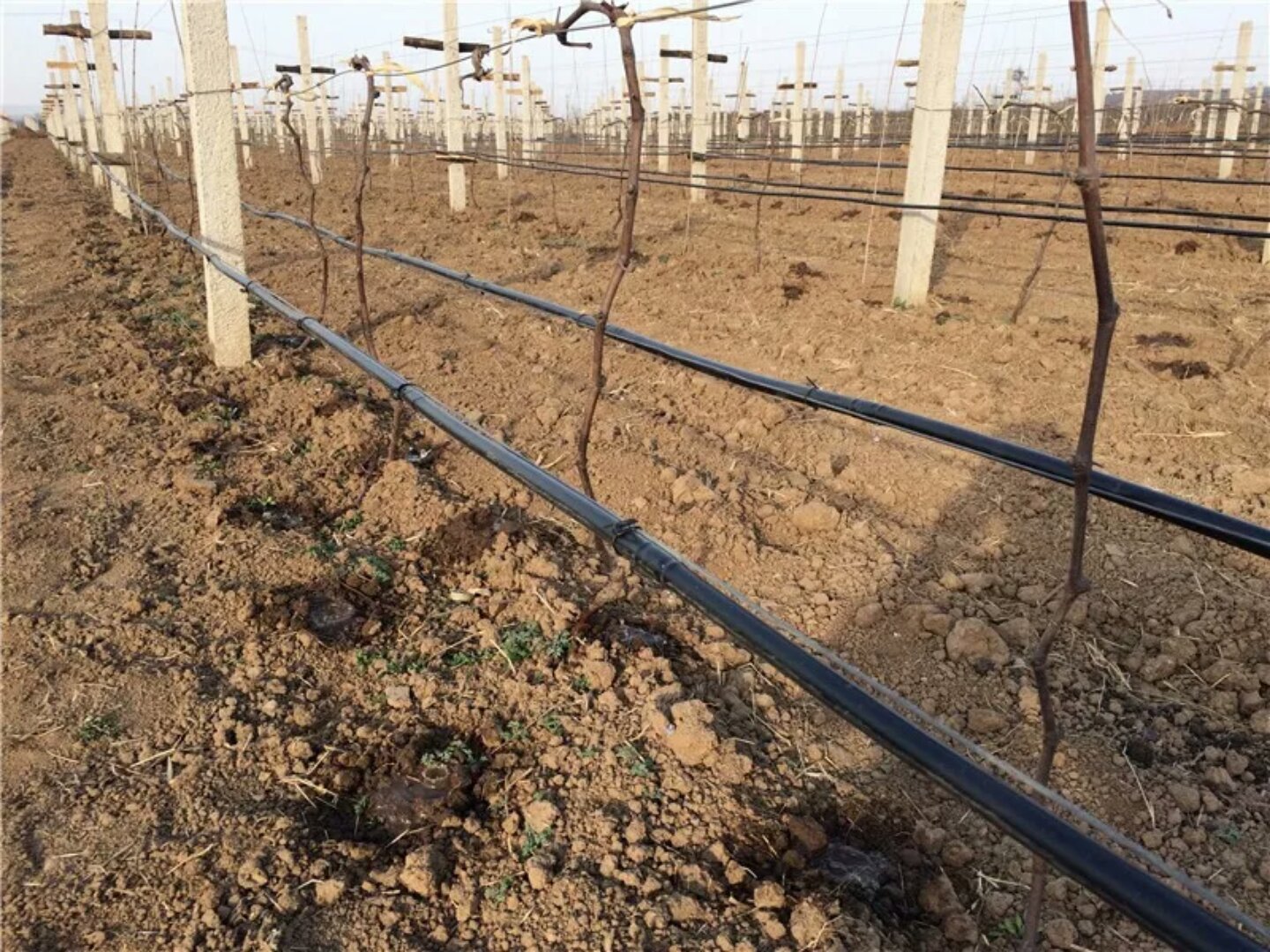 Gated irrigation pipe of G AND N FORTUNE LIMITED, used in hydroponic projects.