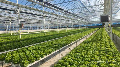 House hydroponic system from G AND N FORTUNE LIMITED.