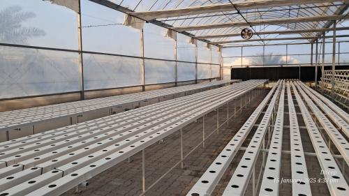 G AND N FORTUNE LIMITED's advanced hydroponics growing system