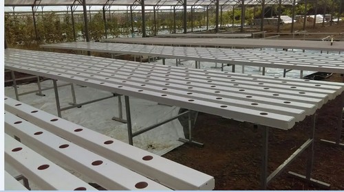 G AND N FORTUNE LIMITED's cannabis growing systems in hydroponics.