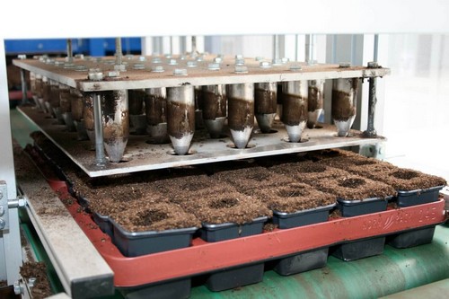 G AND N FORTUNE LIMITED's seed sorting machine for hydroponics.