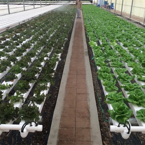 G AND N FORTUNE LIMITED’s auto watering system for grow tent: hydroponic precision.