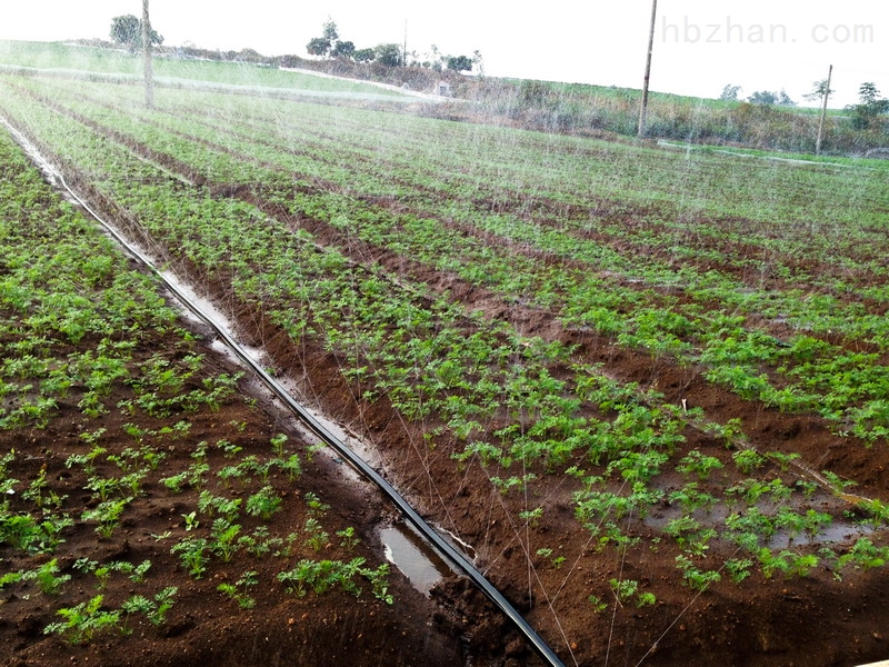 Drip irrigation pipes and fittings, G AND N FORTUNE LIMITED, for hydroponic trays.