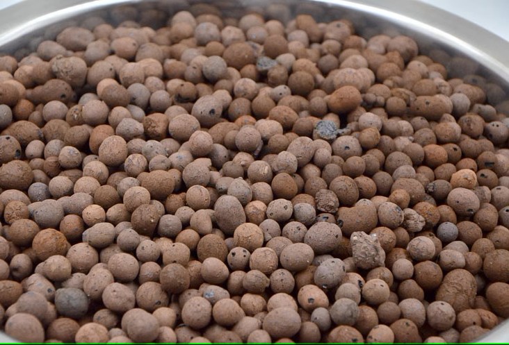 G AND N FORTUNE LIMITED's hydroponics clay pebbles in use.