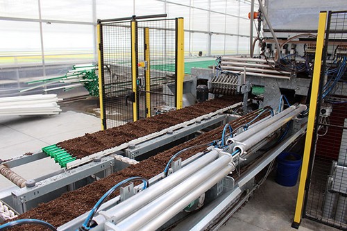 G AND N FORTUNE LIMITED's slice seeding machine rental for hydroponics.
