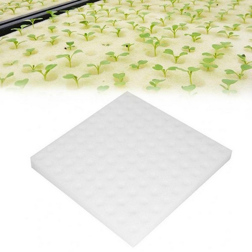 G AND N FORTUNE LIMITED's grow sponge for hydroponics.