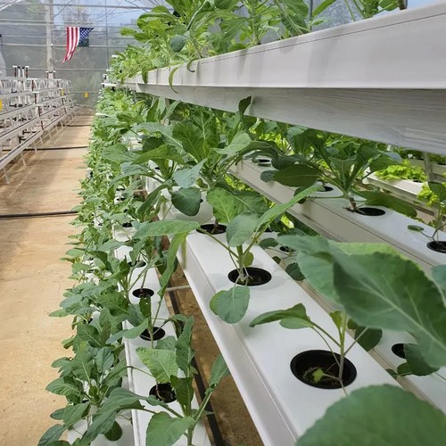 12.Automated hydroponic system by G AND N FORTUNE LIMITED