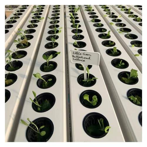 G&N’s automated plant growing system powers hydro setups.