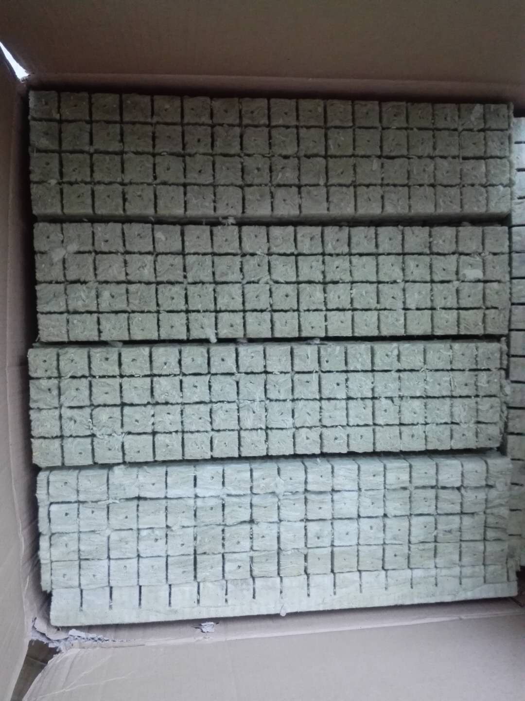 G AND N FORTUNE LIMITED has prairie nursery seeds for hydroponics.