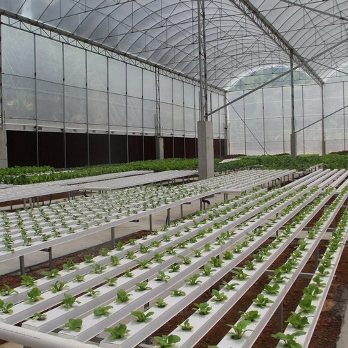G AND N FORTUNE LIMITED’s auto watering system for grow tent simplifies maintenance.