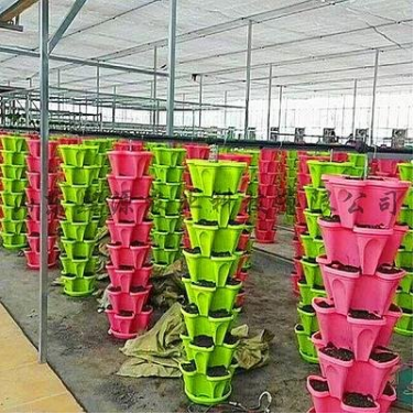 Hanging Flower Pots Outdoor from G AND N FORTUNE LIMITED support hydroponic plants outside.