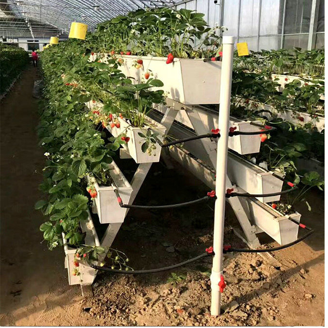 Hydroponics indoor growing system by G AND N FORTUNE LIMITED.