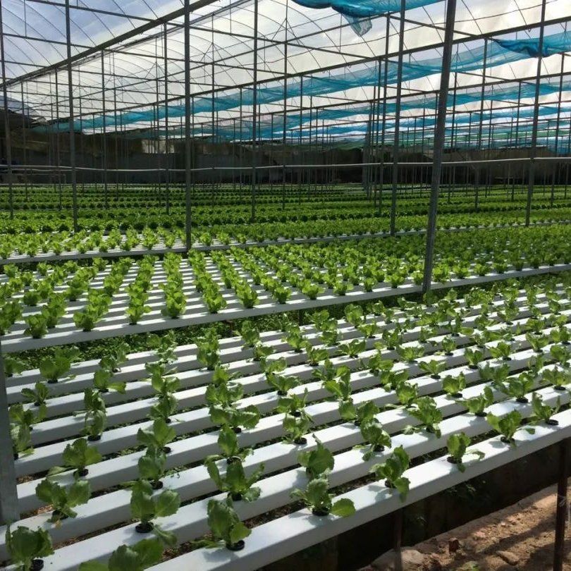Hydroponic systems for sale by G AND N FORTUNE LIMITED.