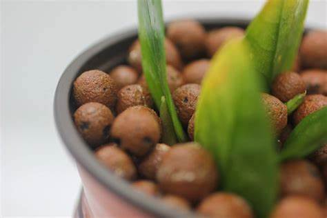 G AND N FORTUNE LIMITED: hydroton clay pebbles near me.
