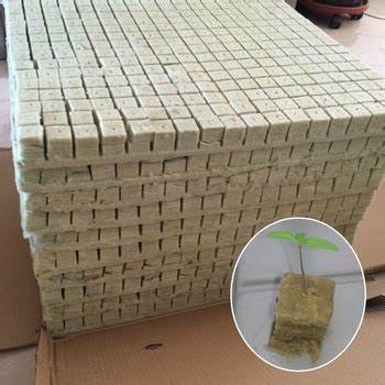 1.G AND N FORTUNE LIMITED helps with hydroponics near me search.