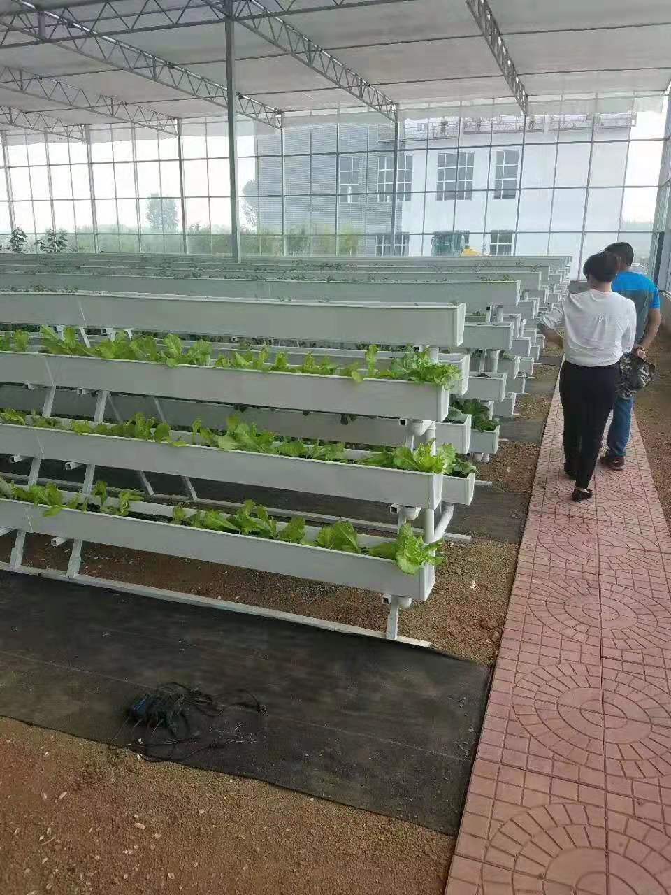 Sun system grow light by G AND N FORTUNE LIMITED for hydro.