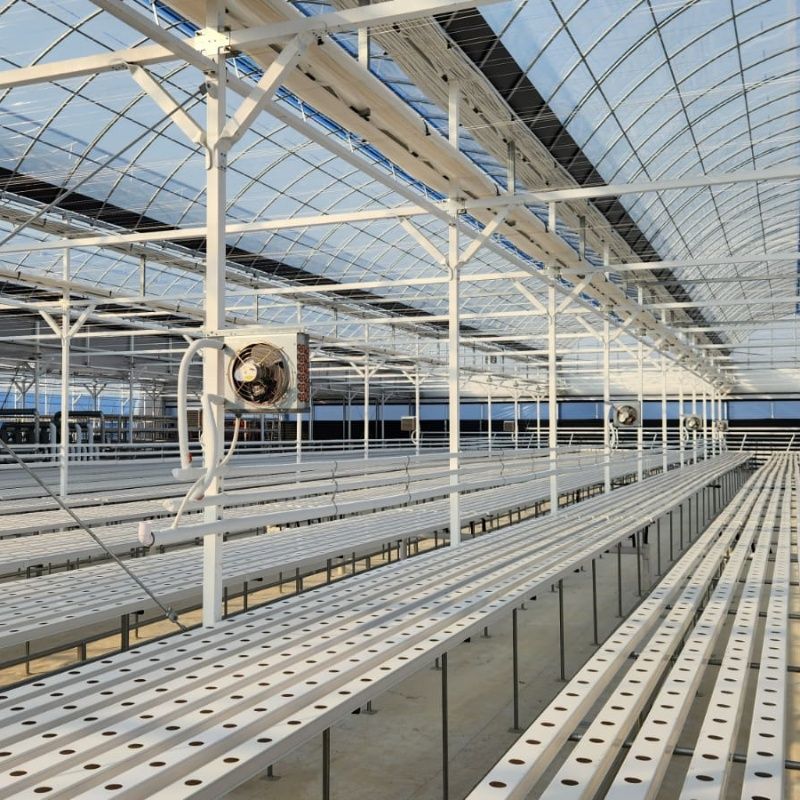Budget hydroponic systems by G AND N FORTUNE LIMITED.