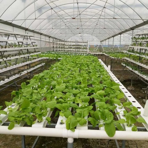 G AND N FORTUNE LIMITED’s safety 1st grow & go flex travel system: hydroponic convenience.
