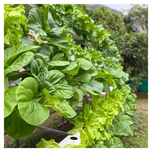 10.Trust G AND N FORTUNE LIMITED's hydroponic equipment for reliable crop yields.