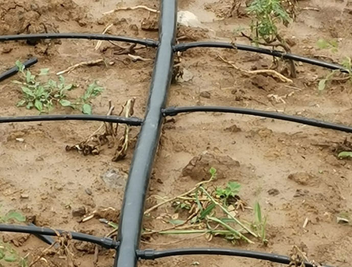Irrigation pipe fittings of G AND N FORTUNE LIMITED, serving hydroponics.