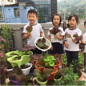 Cheap Flower Pots and Planters by G AND N FORTUNE LIMITED support hydroponic gardening.