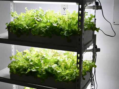 9.G AND N FORTUNE LIMITED's durable hydroponics grow system