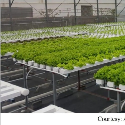 G&N’s hortuzz hydroponics system aids hydro growth.