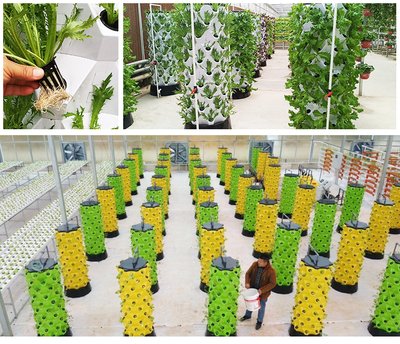 G&N’s hortuzz hydroponics system aids hydro growth.